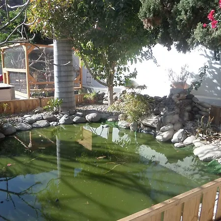 Finca Arche Noah *