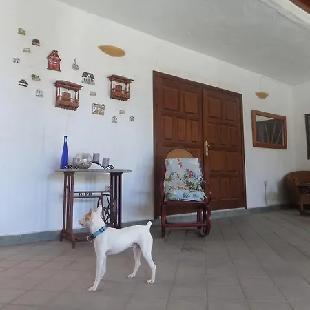 Finca Arche Noah * Maspalomas (Gran Canaria)