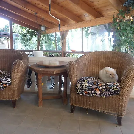 Pensionat Finca Arche Noah